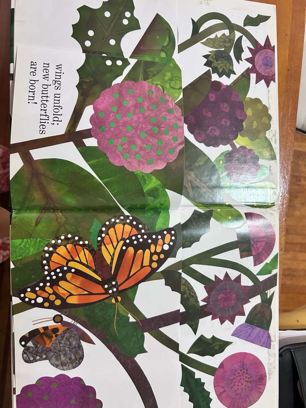 Waiting for Wings by Lois Ehlert Hardcover Book